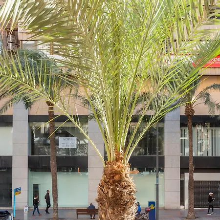 La Mercado Otel 3*